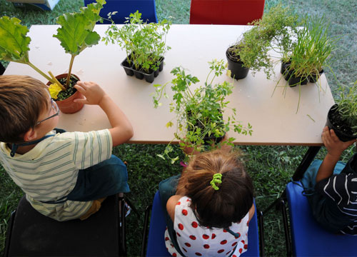 Laboratori e corsi per bambini
